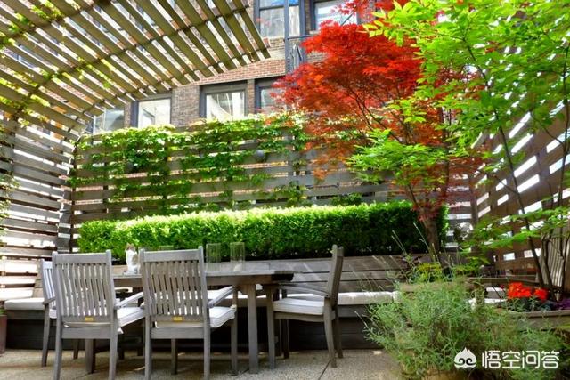 怎么做院子围墙又便宜又好看？插图19