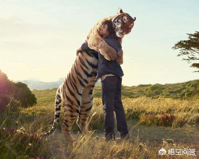 人类伤害东北虎资料:从科学上来讲人能打得过老虎吗？