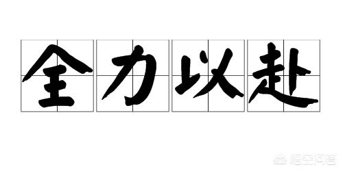 投入的近义词，“尽心尽力”类似的词语有哪些？