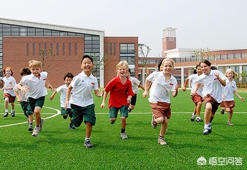 董明珠儿子:为什么董明珠不选自己孩子当接班人