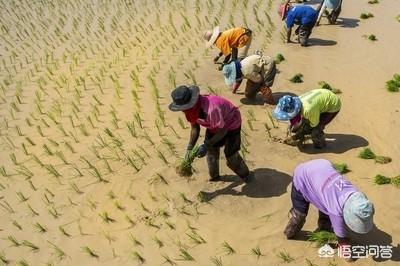 有人说“人在社会底层,最能看清世态人情”你认同这句话吗？为什么？