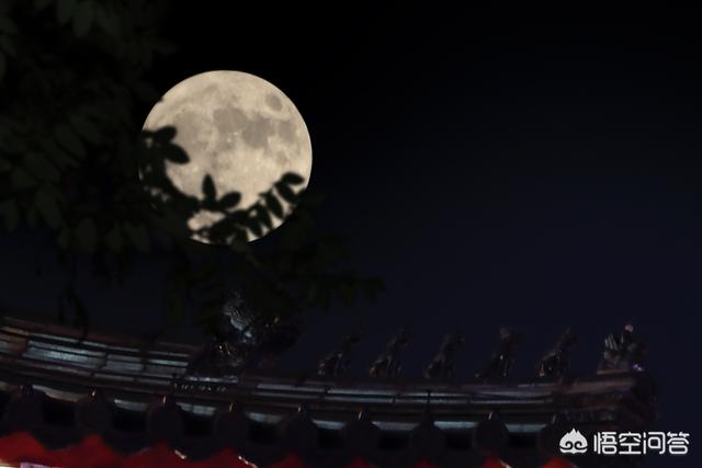 洪辰图片:怎么才能查看一张照片的拍摄参数？