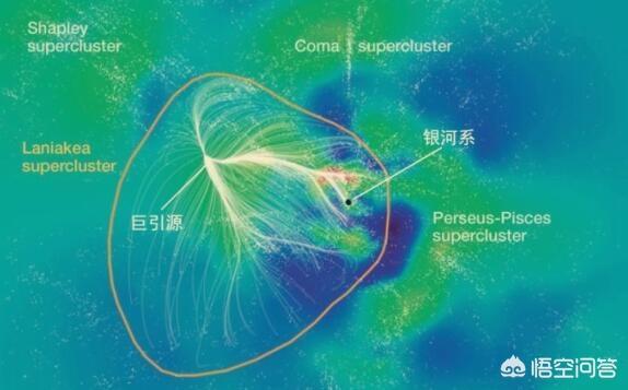 飞盘图片:如果让你养只狗，你会选择哪只？