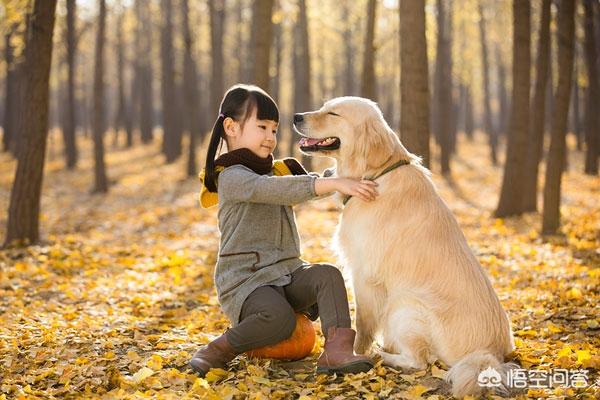 改变世界的犬类全集:狗为什么会成为人类的好朋友？ 改变世界的犬类