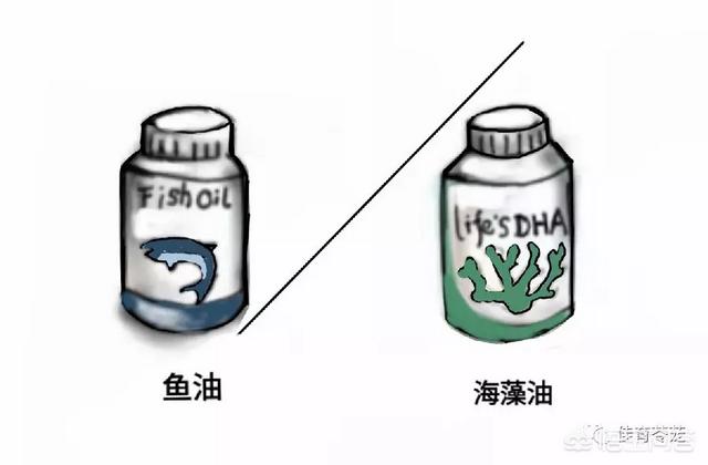 超乳改造乳怀孕网站:女人怀孕期间吃DHN真的有作用吗？