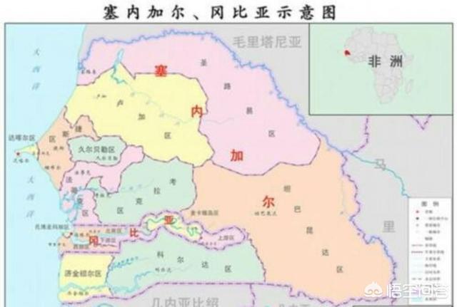 喂狗组黑桐谷歌:为什么感觉少有程序员炫富？