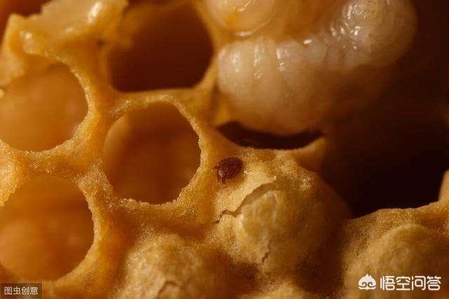 梁婖婷个人资料:你可以发一首原创的现代诗歌吗？怎么样？