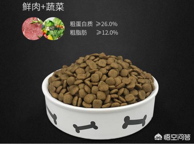 2012英国女王的狗狗:柯基深爱主人，会有哪些表现？