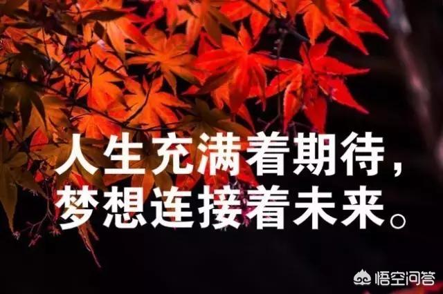 朋友圈走心的句子:有哪些最走心的说说心情语录分享？