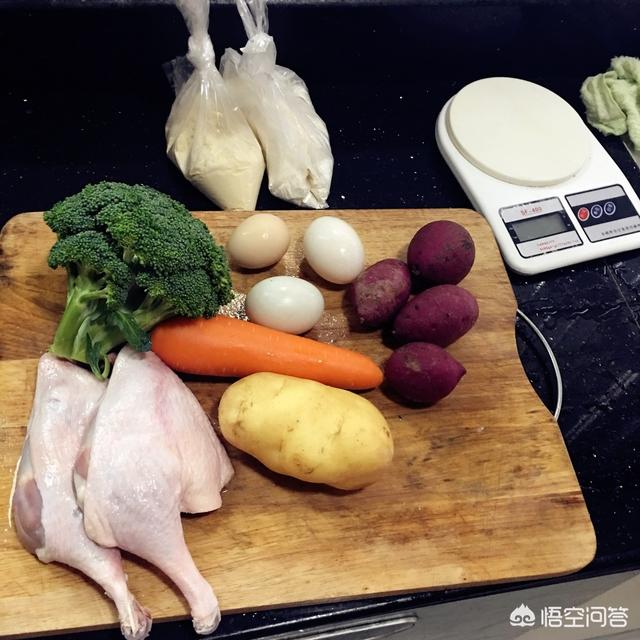 我做母狗的经历:对狗狗实施安乐死，狗狗真的安乐吗？狗狗会痛苦吗？