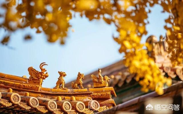 故宫灵异事件博物院:故宫博物院的房顶为什么没有鸟拉屎？