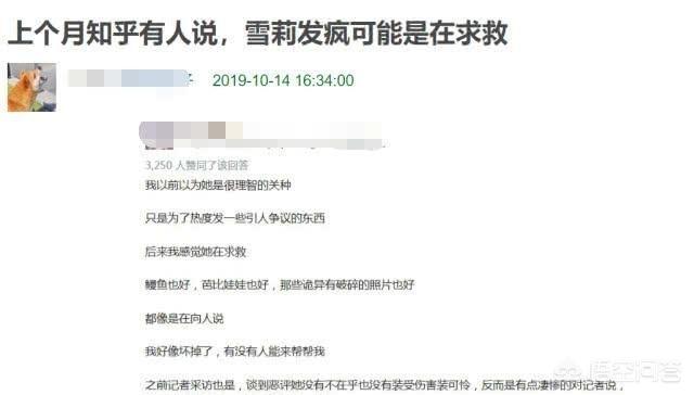 崔雪莉死亡报告书:怎么看待韩星崔雪莉死于家中？