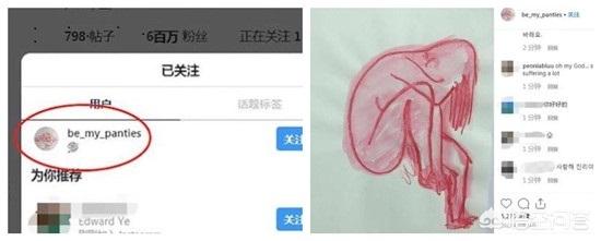 崔雪莉图片:如何看待崔雪莉ins上唯一关注账户所发布的画作