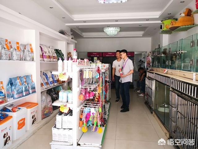 宠物连锁店加盟商:成都宠物店招商加盟选哪家？