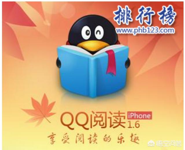 2019年苹果手机推荐用哪个阅读软件？