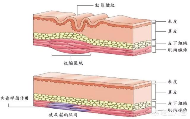 有吸引力的心灵:如何训练眼神，让其变得有魅力？