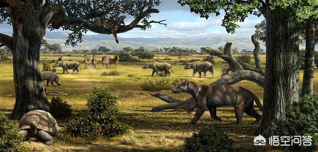 犬熊图:1000万年前的史前动物除了恐龙，都还有哪些？