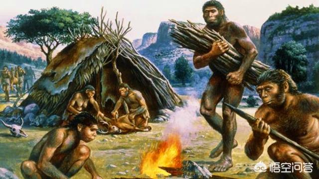 6500万年前恐龙灭绝人类文明史也只有几千年那中间的空白期都经历了