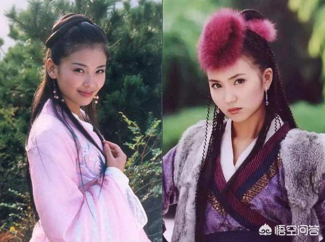 如何评价《天龙八部》中阿朱和阿紫？