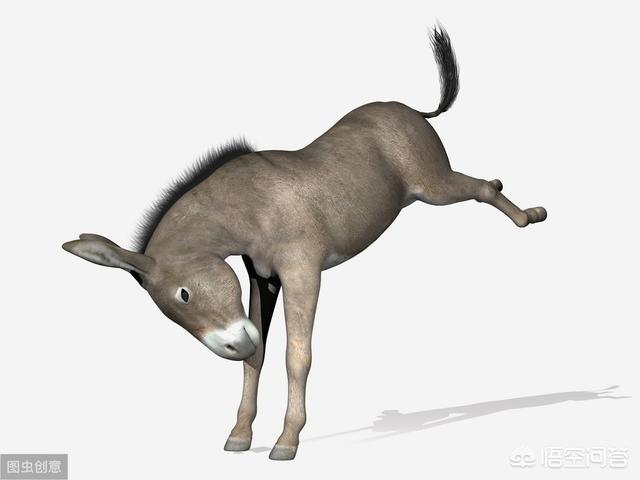 在农村,老人常说：“驴肉香,马肉臭,打死不吃骡子肉”,啥意思？