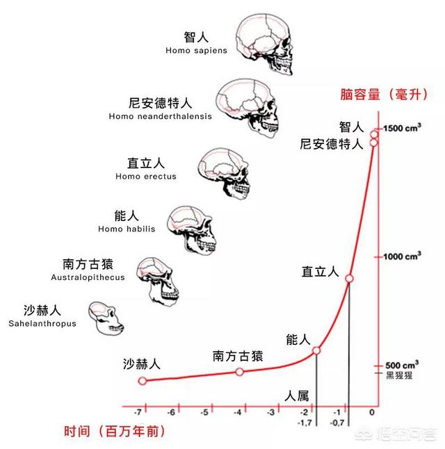 百科网
