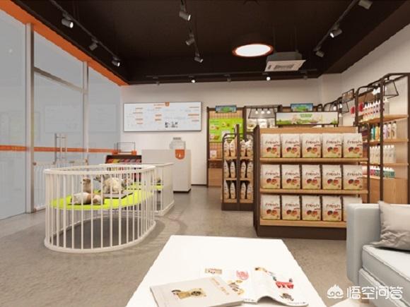 宠物店加盟要多少钱宠物网店加盟:派多格宠物店加盟费要多少？