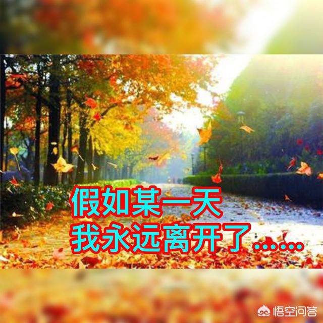 时光易逝,容颜易老。假如明天就将永远离去,你还有哪些心愿未了？