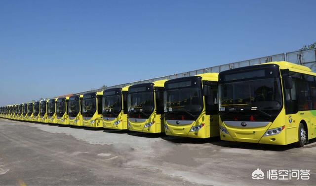 新能源公交车价格，哈尔滨公交车更换新能源车后为什么票价上涨