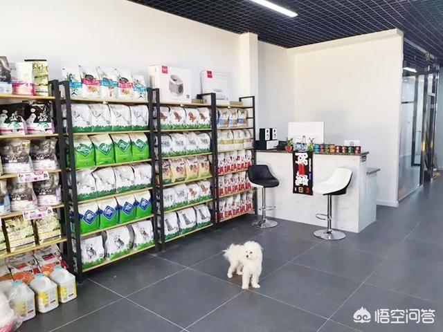 宠物店加盟要多少钱宠物网店加盟:通辽开宠物店需要多少资金？