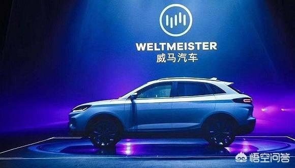 中国电动汽车品牌，国产的环保电动汽车什么牌子的好呢？