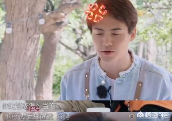 亲爱的客栈3合影:《亲爱的客栈3》张翰是合伙人最佳人选吗