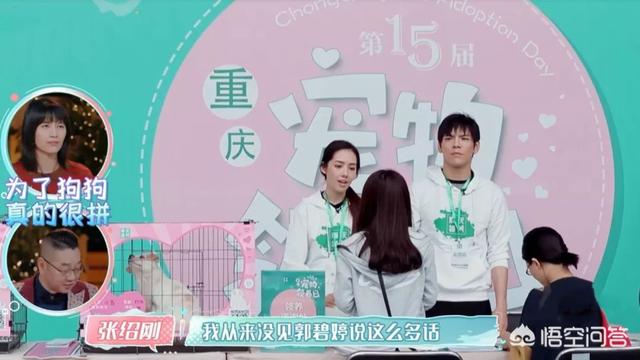 郭碧婷闺蜜是高晓松前妻:怎么看高晓松在直播中被留言辱骂这件事？