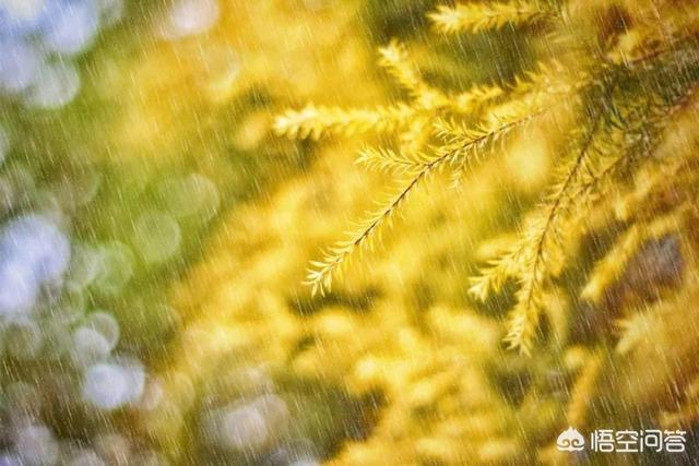 下雨天小区摄像头能拍到吗，下雨天拍雨丝怎么拍为什么眼睛能看到，拍的几乎看不出来