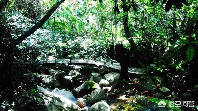广西合浦蛋龟之家电子商务有限公司:广西北部湾的支柱产业是什么？听说那里很多外地人，是真的吗？