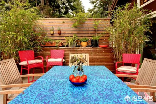 怎么做院子围墙又便宜又好看？插图20