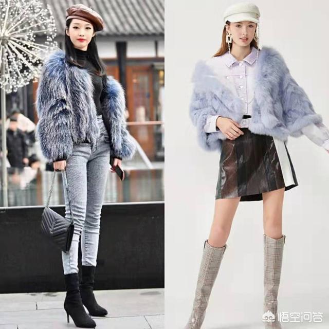 貂:你知道宠物貂吗，如何养殖？