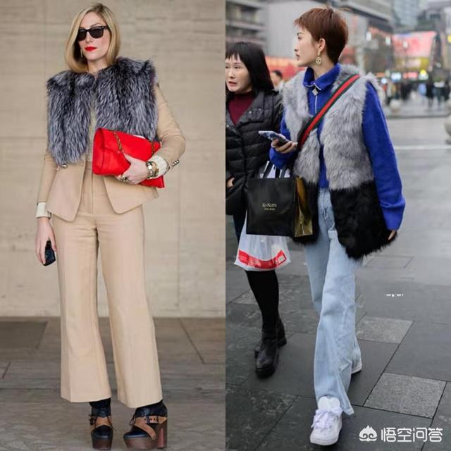 貂:你知道宠物貂吗，如何养殖？