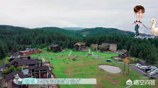如何看李汶翰在《一路成年》中和羊驼的互动？