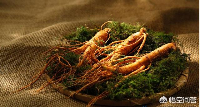 头条问答 人参越苦越好吗 7个回答