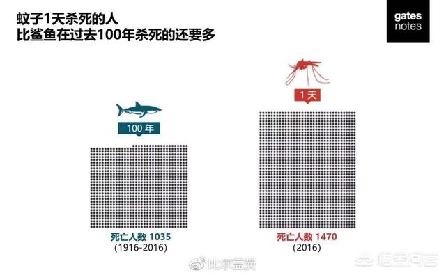 角百灵:百灵鸟唱得越卖力，听众却越来越少的原因是什么？