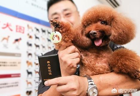 唐山养犬办:唐山公共场合遛狗要带遛狗绳、清理狗粪，文明养犬！你知道吗？