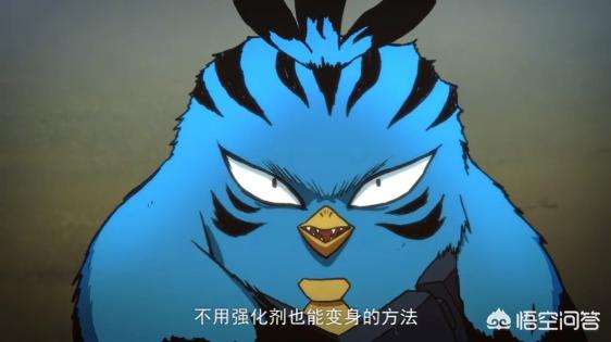 《刺客伍六七》第6话,山鸡王来袭,为何进化后的鸡大保也不是对手？