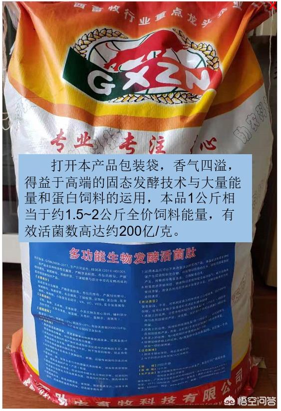 蜜袋鼯 噗呲噗呲叫:蜜袋鼯的饲养方法是怎么样的？