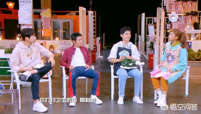 撒贝宁狐狸狗催眠:说到综艺节目，你第一个会想到哪个？