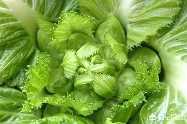 多仔菜炒肉怎么做?-百科网