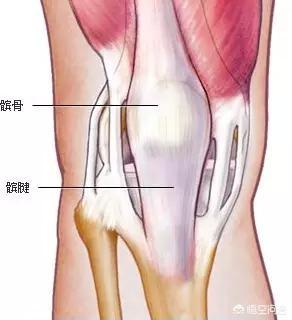 膑骨炎的症状:髌腱炎是什么？怎么预防髌腱炎？