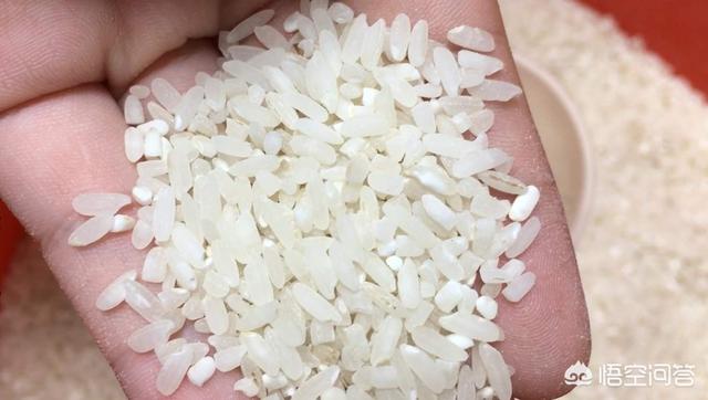 为什么大米中会出现米虫，为什么米放久了就会有虫子这些虫子为什么会凭空出现