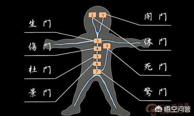 完美释放板车哥:《火影忍者》中，使用体术真的完全不需要用查克拉吗？