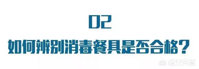 宠物餐具怎么消毒:餐具消毒需要注意哪些事项？