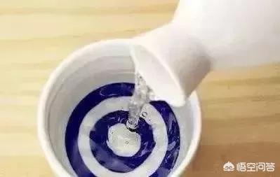 宠物餐具怎么消毒:狗碗要不要经常清洁啊？为什么？